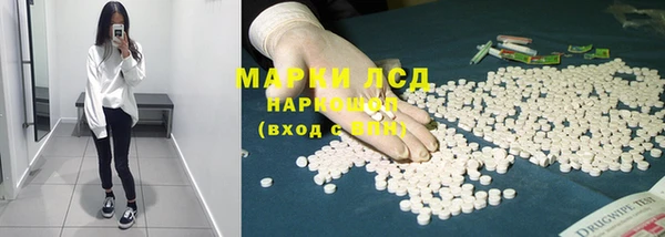 spice Вяземский