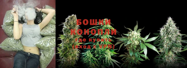 spice Вяземский