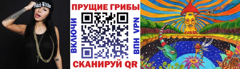 магазин продажи наркотиков  Юрюзань  Галлюциногенные грибы прущие грибы 
